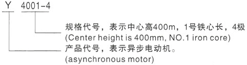 西安泰富西玛Y系列(H355-1000)高压屯溪三相异步电机型号说明